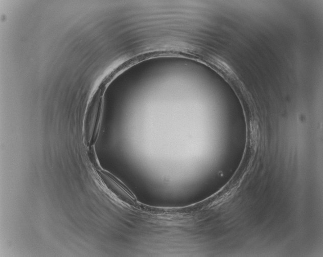 X0000055520780200509022122