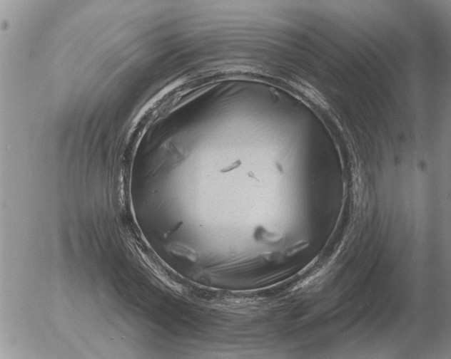 X0000055520782200509022122