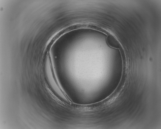 X0000055520783200509022122