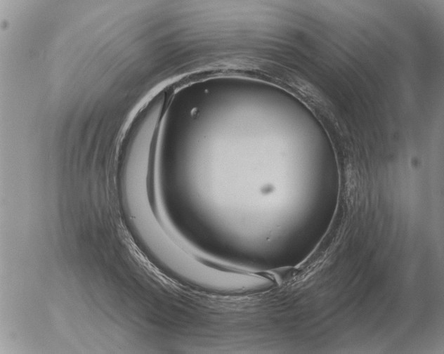 X0000055520784200509022122