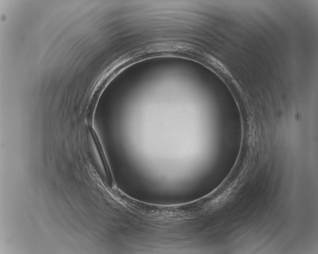 X0000055520786200509022122