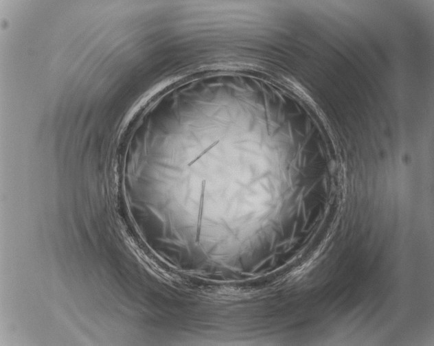 X0000055520787200509022122