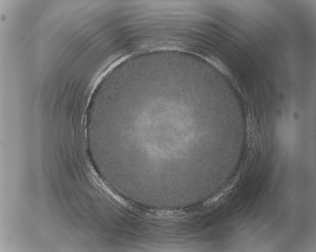 X0000055520790200509022122