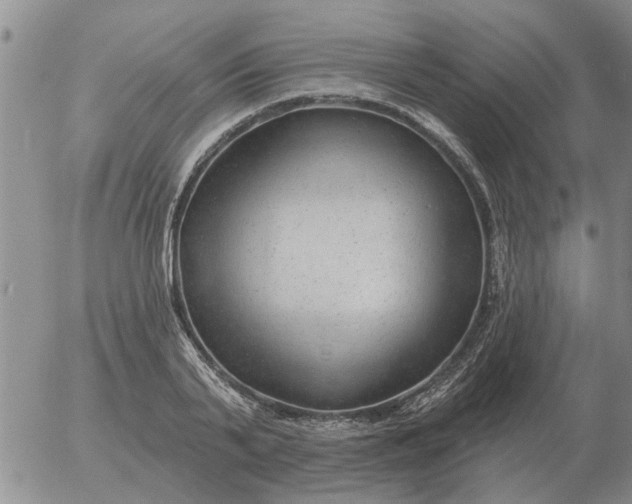 X0000055520791200509022122