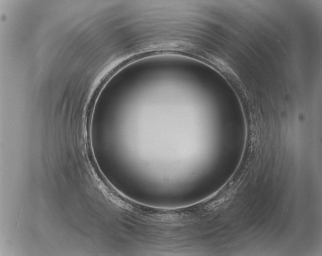 X0000055520792200509022122