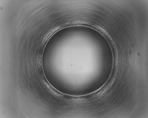 X0000055520793200509022122