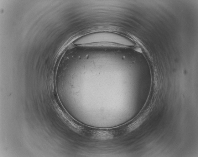 X0000055520794200509022122