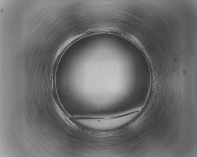 X0000055520795200509022122