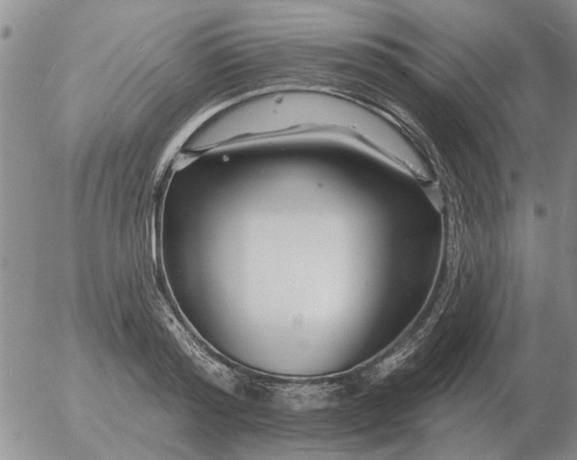 X0000055520796200509022122