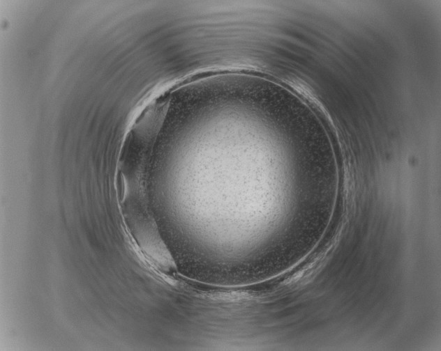 X0000055520797200509022122