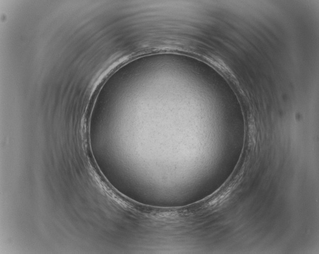 X0000055520798200509022122