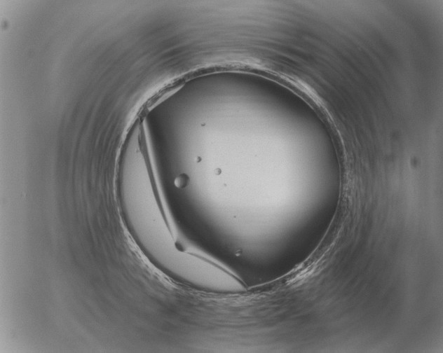 X0000055520799200509022122