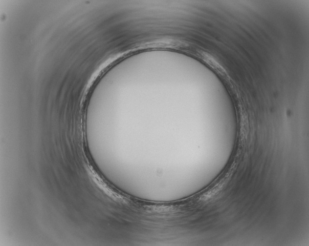 X0000055520800200509022122