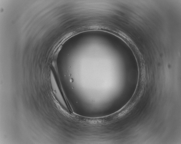 X0000055520801200509022122