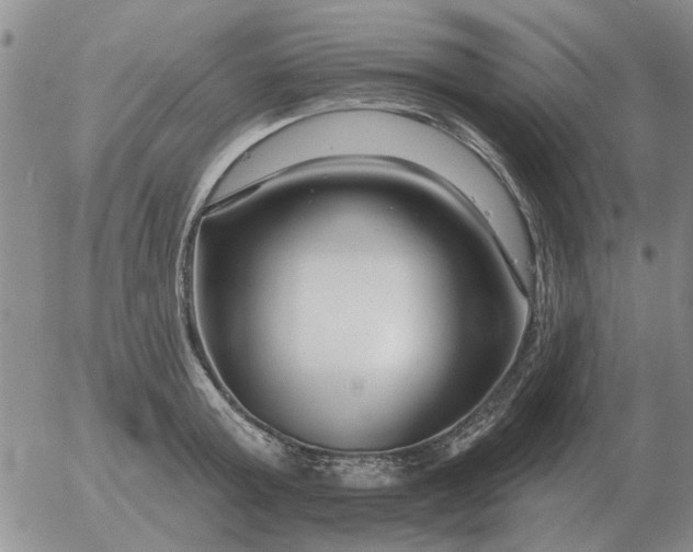 X0000055520803200509022122