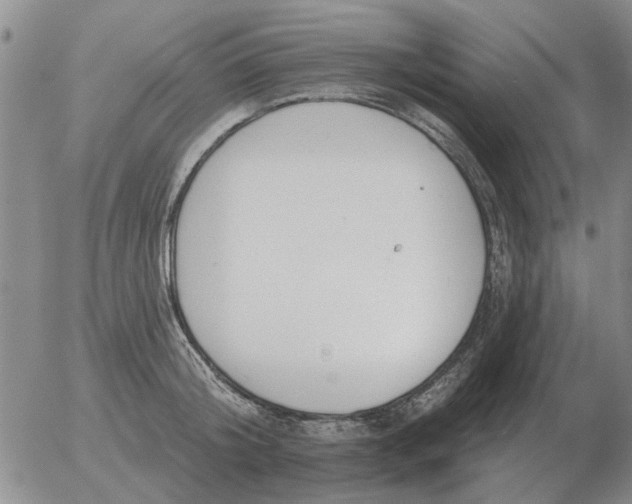 X0000055520804200509022122