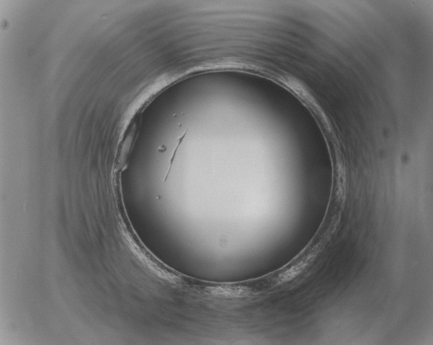 X0000055520805200509022122