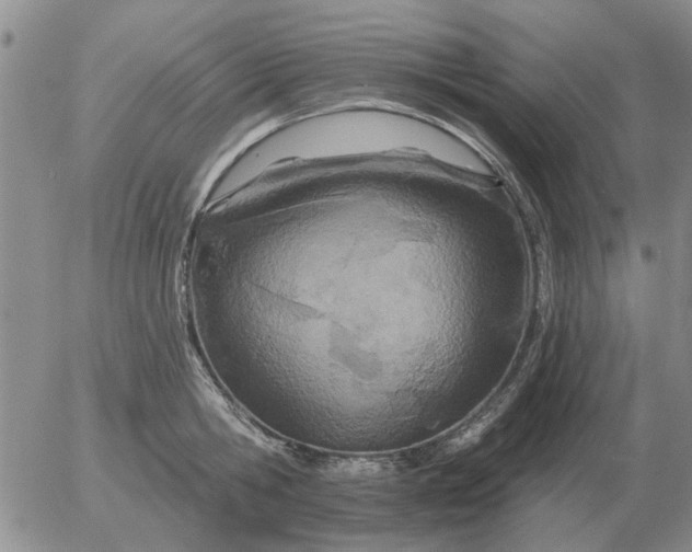 X0000055520806200509022122