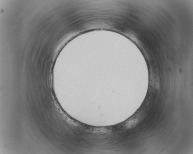 X0000055520807200509022122