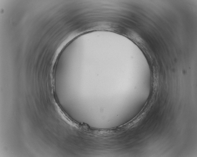 X0000055520808200509022122