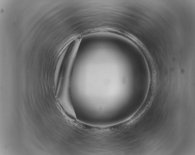 X0000055520809200509022122