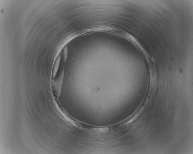 X0000055520810200509022122