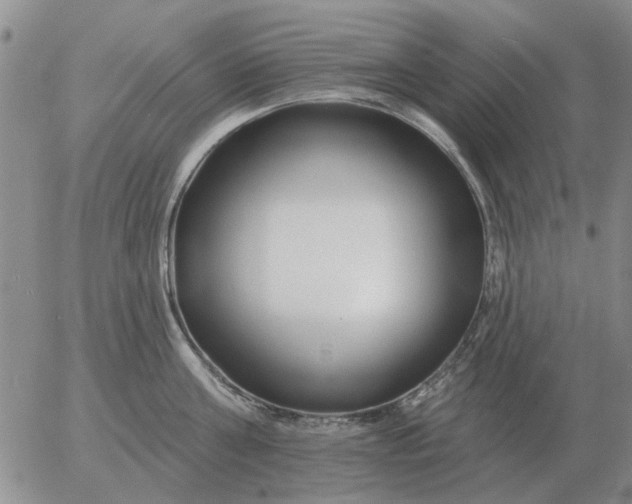 X0000055520811200509022122