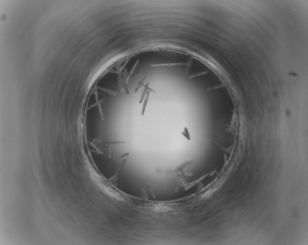 X0000055520814200509022122