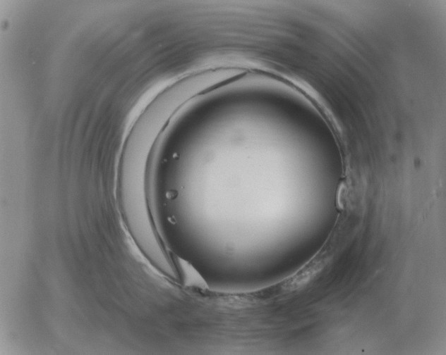 X0000055520815200509022122