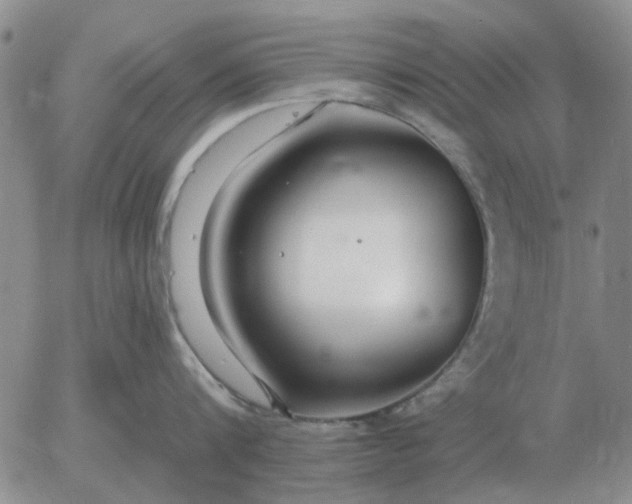 X0000055520816200509022122