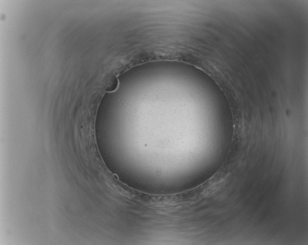 X0000055520817200509022121