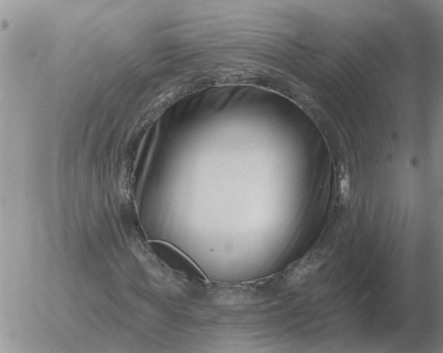 X0000055520819200509022121