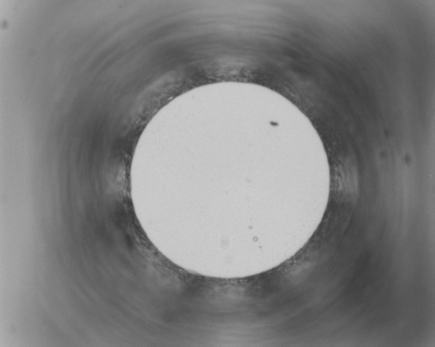 X0000055520820200509022121