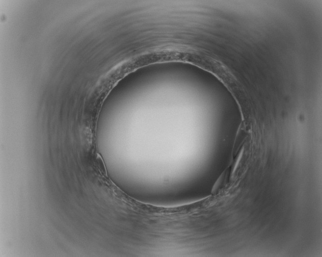 X0000055520821200509022121