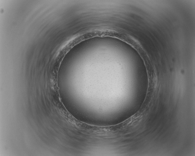 X0000055520823200509022121