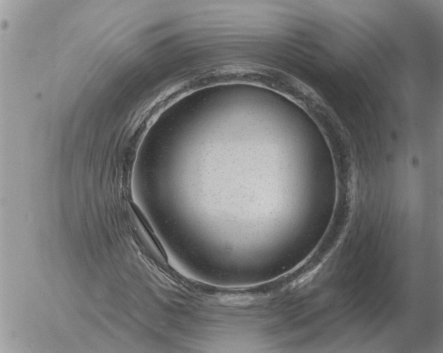 X0000055520825200509022121