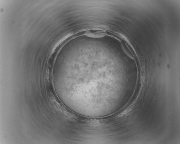 X0000055520827200509022121