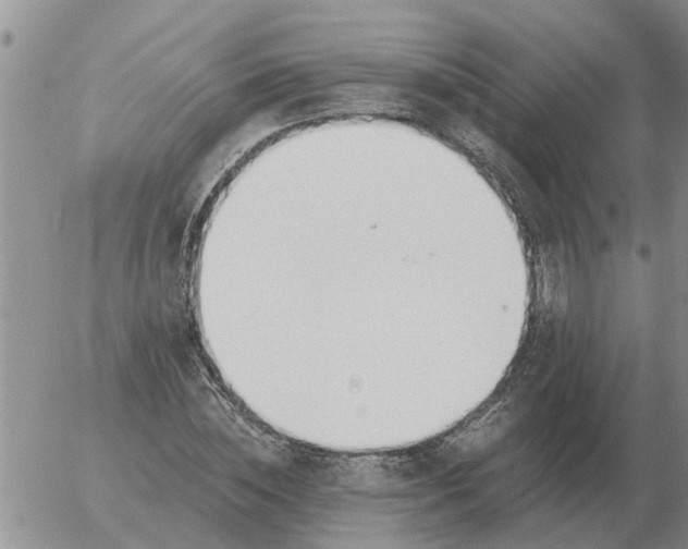 X0000055520828200509022121