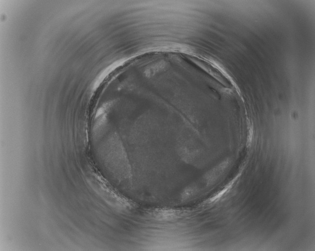 X0000055520829200509022121