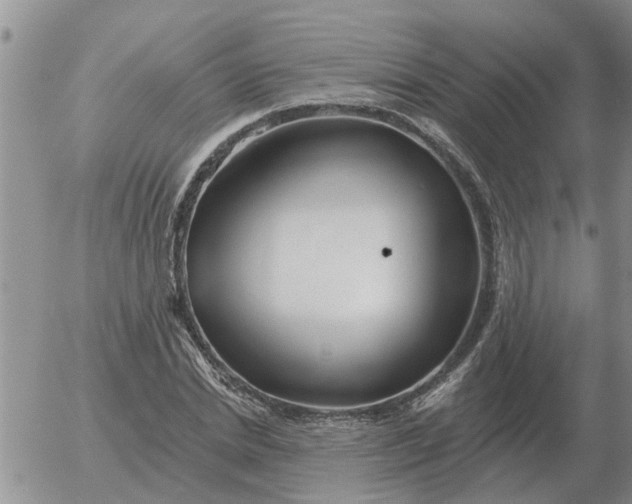 X0000055520830200509022121