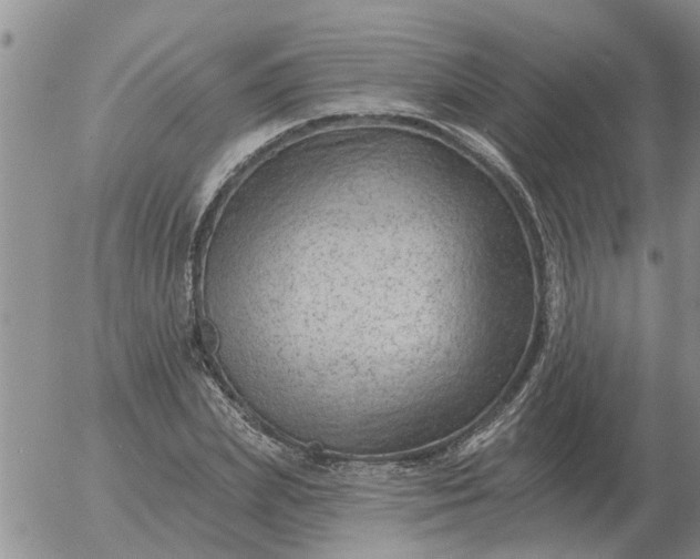 X0000055520831200509022121