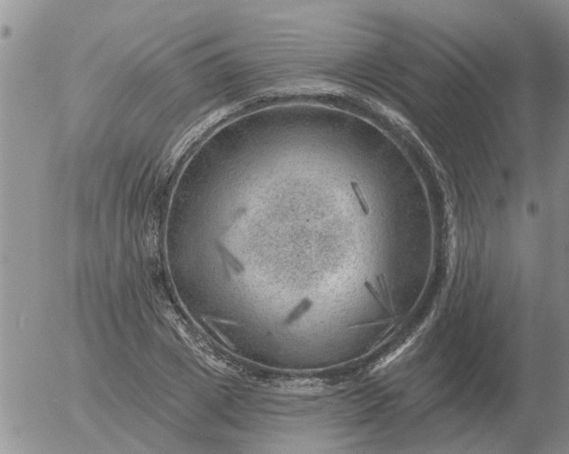 X0000055520833200509022121