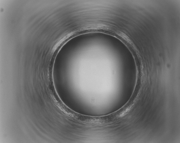 X0000055520834200509022121