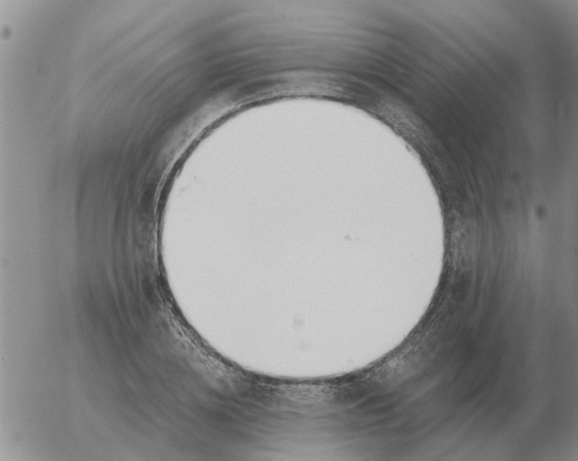 X0000055520836200509022121