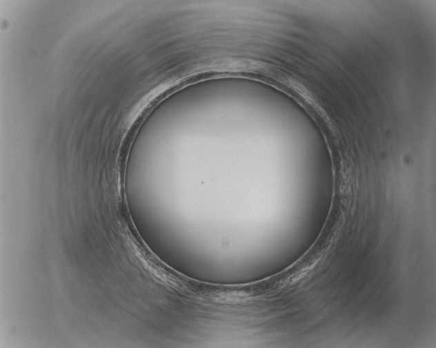 X0000055520837200509022121