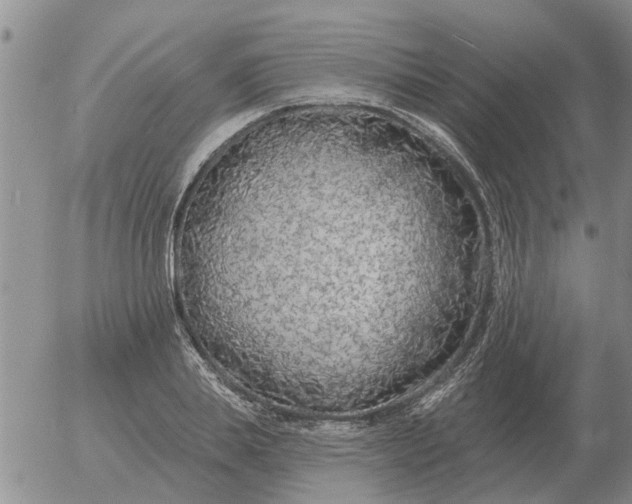 X0000055520839200509022121