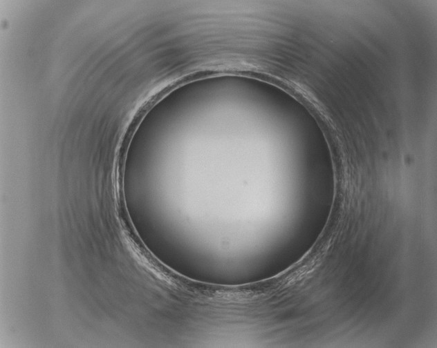 X0000055520840200509022121