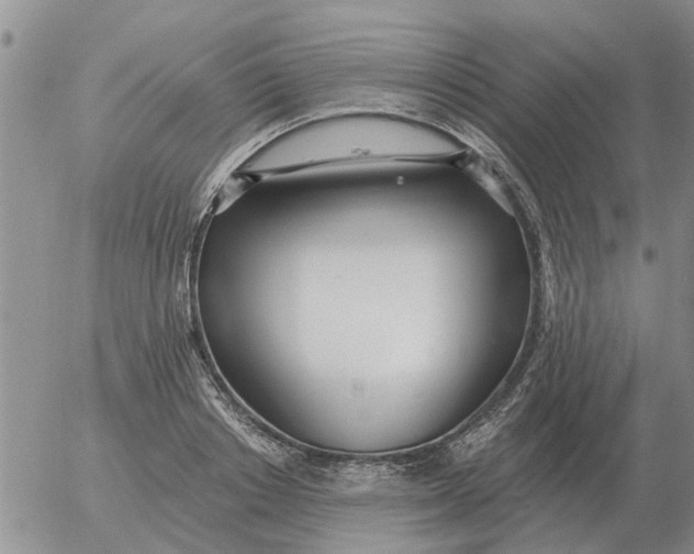 X0000055520842200509022122