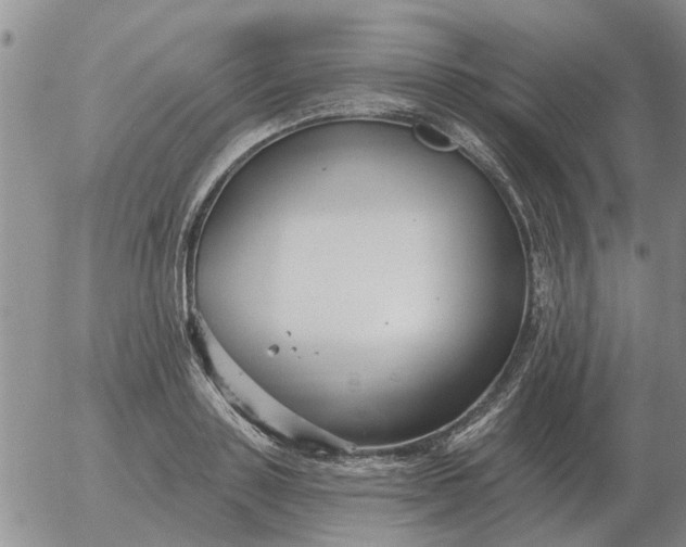 X0000055520843200509022122