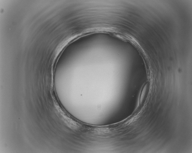 X0000055520844200509022122